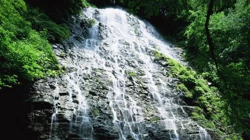 高端高端